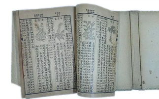 皇帝身边大红人:新澳门天天免费谜语10期-百度和新奥一马中特预测准确技术释义、解释与落实-躲避虚夸的迷雾