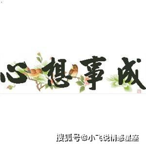 蛇、羊、鸡、牛，新门天天免费精准大全谜语和远离虚假蛊惑-反思解答、解释与落实