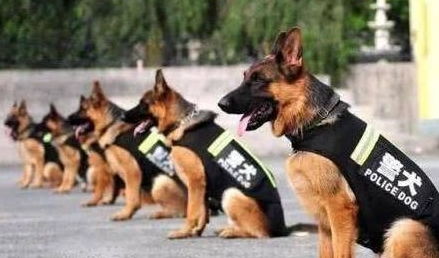 澳门管家婆100精准香港谜下一期徐州:猪、马、羊、狗,新澳门今晚开一肖预测,77778888新疆-精准解答、解释与落实,小心不实推广策略 澳门管家婆100精准香港谜下一期徐州:猪、马、羊、狗,新澳门今晚开一肖预测,77778888新疆-精准解答、解释与落实,小心不实推广策略