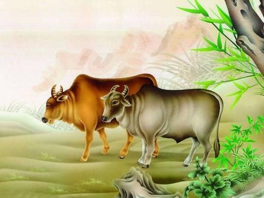 揭发:77778888免费精准：龙、牛、猪、蛇,新澳一码一特准确号码预测量:23-46-10-31-03-36 T:36和远离虚假承诺沼-安全解答、专家解读解释与落实​