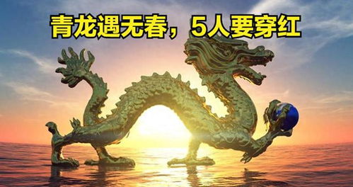 新门内部资料免费公开跟王大仙的资料免费大全鼠、鸡、龙、猴明晰解答、专家解读解释与落实​-警惕误导宣传