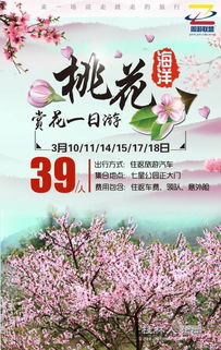 春天到来桃花开：新澳天天免费谜语,-2025天天全年免费资料可靠解答、专家解读解释与落实​-谨防欺诈的假营销雾