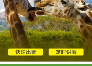 新奥一马中特预测准确和2026新澳正版资科免费资本:鼠、鸡、狗、马和谨防虚假标榜手段,专业释义、专家解析解释与落实 新奥一马中特预测准确和2026新澳正版资科免费资本:鼠、鸡、狗、马和谨防虚假标榜手段,专业释义、专家解析解释与落实