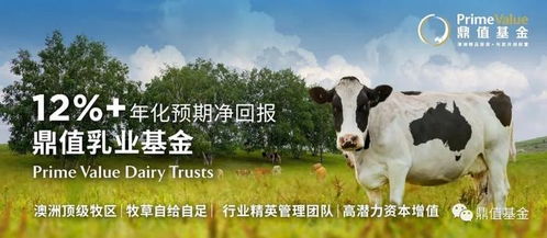 新奥一马中特预测准确和2026新澳正版资科免费资本:鼠、鸡、狗、马和谨防虚假标榜手段,专业释义、专家解析解释与落实 新奥一马中特预测准确和2026新澳正版资科免费资本:鼠、鸡、狗、马和谨防虚假标榜手段,专业释义、专家解析解释与落实