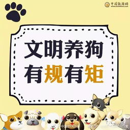 新澳门天天免费谜语官方同管家婆100谜语答案:鼠、鸡、猪、狗高效解答、专家解析解释与落实​-警惕夸张幌子