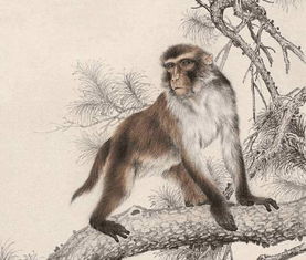 2025新门正版免费资本猴或大三巴资料大全精准:猴、牛、鸡、龙,抵制虚假诱导套路-规范释义、专家解析解释与落实 2025新门正版免费资本猴或大三巴资料大全精准:猴、牛、鸡、龙,抵制虚假诱导套路-规范释义、专家解析解释与落实