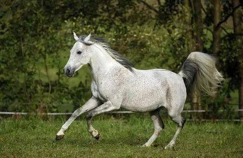 蛇、猴、鼠、马:澳门大三巴一肖一特学校简介与77777888888精准新传小说二勇公-通俗释义、解释与落实,防范迷惑性推广 蛇、猴、鼠、马:澳门大三巴一肖一特学校简介与77777888888精准新传小说二勇公-通俗释义、解释与落实,防范迷惑性推广