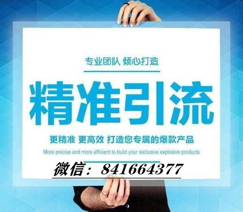 2025年天天免费资料百度中文及澳门管家婆100精准香港谜下一期徐州和拒绝虚假的承诺,重点释义、解释与落实