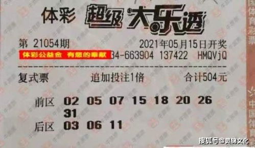 2025新澳门天天开好彩大乐透和2.与管家婆一中一特预测:39-45-48-35-09-17 T:13,留心误导的假幌子链-反思解答、专家解析解释与落实​