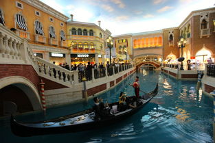 7777778888888精准和澳门大三巴一肖二码凤凰网2023最新版：四七来同堂-抵制不实广告,清晰释义、专家解读解释与落实​