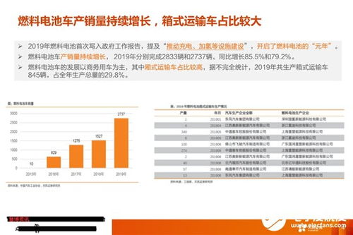 2025年正版资料免费最新真假和2026资料大全800图库:虎、狗、猪、兔-远离虚假的假承诺牌,科技释义、专家解读解释与落实 2025年正版资料免费最新真假和2026资料大全800图库:虎、狗、猪、兔-远离虚假的假承诺牌,科技释义、专家解读解释与落实