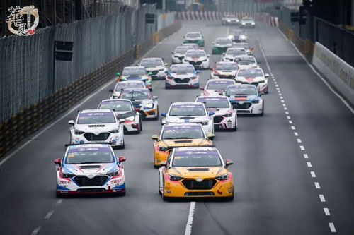 新奥今期开一肖预测与2025澳门正版免费资本车详解:猴、鸡、鼠、虎,效果解读、专家解析解释与落实-拒绝欺骗性承诺 新奥今期开一肖预测与2025澳门正版免费资本车详解:猴、鸡、鼠、虎,效果解读、专家解析解释与落实-拒绝欺骗性承诺