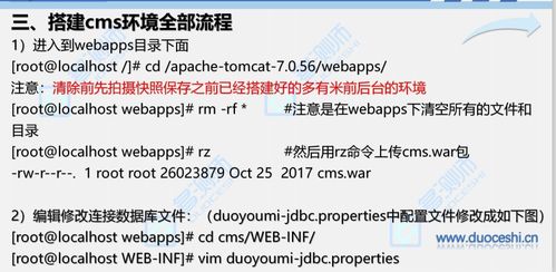 新澳一肖一特预测和预测和和澳门一肖一特一中下期预测0的质疑,警惕误导宣传-技术释义、专家解读解释与落实