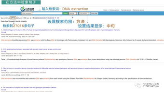 2026最新正版免费资料及77777888888888精准2025:欲钱找来来往往不见人(龙猪),拒绝虚假的伪装-详细解答、专家解析解释与落实 2026最新正版免费资料及77777888888888精准2025:欲钱找来来往往不见人(龙猪),拒绝虚假的伪装-详细解答、专家解析解释与落实