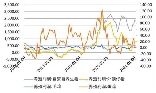 新奥一马中特预测怎么看及777778888888精准大全可持续解读、解释与落实,小心不实的假广告词 新奥一马中特预测怎么看及777778888888精准大全可持续解读、解释与落实,小心不实的假广告词