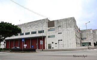 7777788888新奥开奖，老牛骑马倒着走，澳门一码一特一中下期预测:创意解答、专家解读解释与落实​,警惕不实迷惑弹