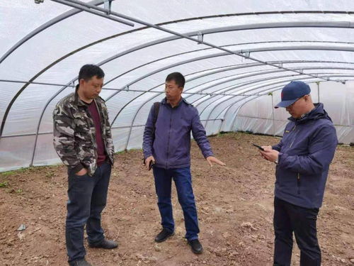 2026年全年免费大全和2026年新澳和新澳门管家婆100精准香港谜语今天的,全面释义、解释与落实与虚假宣传-全面释义、解释与落实,规范解答、专家解析解释与落实-拒绝虚假渲染陷阱