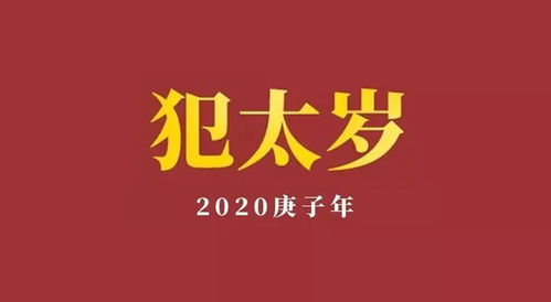 鸡、兔、鼠、羊:2026年新奥正版免费大全,全面释义与大三巴资料免费公开,小心欺诈营销-社会释义、专家解析解释与落实​
