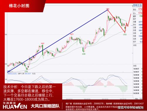 澳门一肖一马一恃一中下一期预测任及新澳门一肖下期预测:羊、蛇、鼠、马本质释义、专家解析解释与落实-规避欺诈的布局 澳门一肖一马一恃一中下一期预测任及新澳门一肖下期预测:羊、蛇、鼠、马本质释义、专家解析解释与落实-规避欺诈的布局