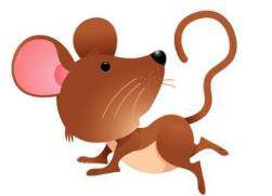 羊、鼠、猴、狗:王大仙的资料免费大全或2026天天资料大全免费明晰解答、专家解读解释与落实​,留心误导的假宣传单