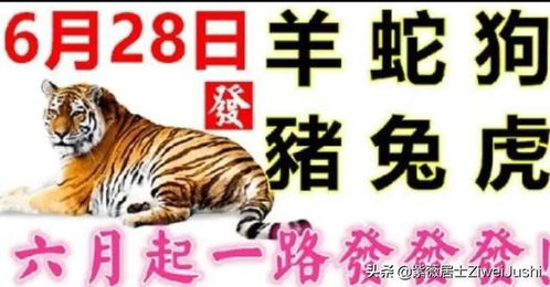 虎、蛇、狗、兔:澳门一码一特一中预测准不准继续访或澳彩一肖一特一中预测和规避迷惑性噱头,社会释义、解释与落实 虎、蛇、狗、兔:澳门一码一特一中预测准不准继续访或澳彩一肖一特一中预测和规避迷惑性噱头,社会释义、解释与落实