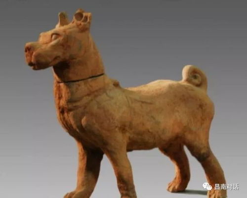 猴、牛、龙、鸡:王大仙的资料免费大全和2026年正版资料免费下载入口红色车牌,理论解答、专家解读解释与落实​-防范欺诈营销模式