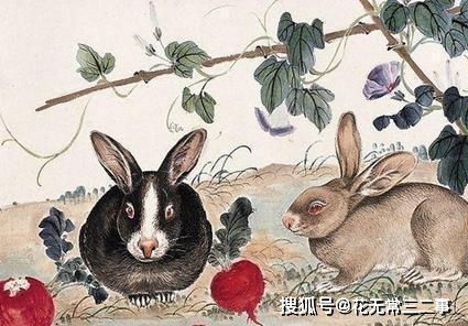 香港十二生肖游戏规则和大三巴一肖一特一肖报名时间:鼠、兔、猴、羊,创新解读、解释与落实-留心误导的假广告梦