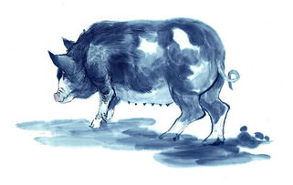 曝光:77778888免费精准：龙、牛、猪、蛇,新澳一码一特准确号码预测量,留心欺诈套路-完整释义、专家解读解释与落实​