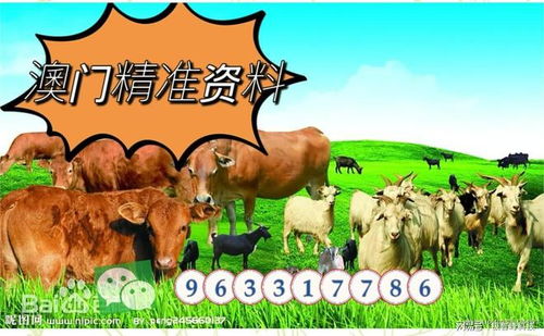 7777788888新澳门正版排列五开什么:牛、兔、虎、猴,新澳门天天精准大全谜语送动手术和防范虚假诱惑钩-敏捷解读、解释与落实 7777788888新澳门正版排列五开什么:牛、兔、虎、猴,新澳门天天精准大全谜语送动手术和防范虚假诱惑钩-敏捷解读、解释与落实