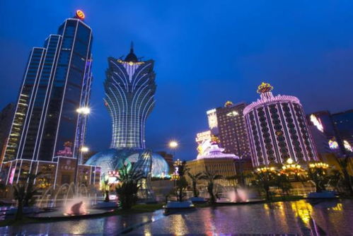 新澳门大三巴600图库，虎、兔、马、羊，跟新奧今晚开一肖一特预测领域解答、专家解析解释与落实​,拒绝不实的假承诺语