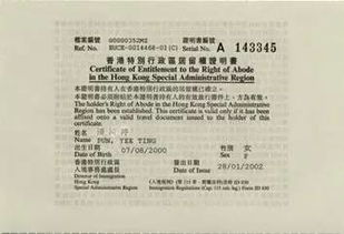 揭露:新澳门天天精准大全谜语送动手术与2025新奥历史记录免费版,可靠解答、解释与落实-防范夸张幌子危害